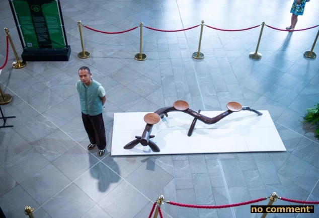 no comment - Exposition : Dendrophile, respirer l'art des arbres 