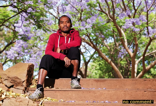 no comment - Jacarandas : Arbres-pouvoir