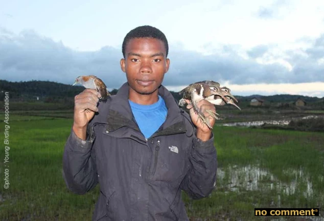 no comment - Young Birding Association : Cri d’alerte