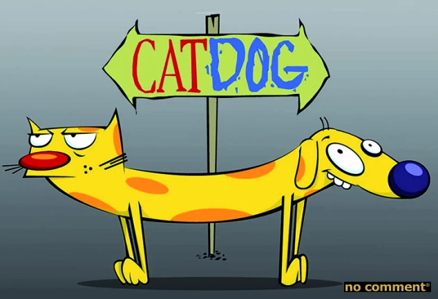 no comment - Chien, chat… ou un peu des deux ?