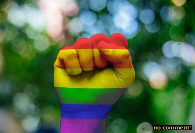 no comment - #IDAHOBIT2025 : l’homophobie sévit encore
