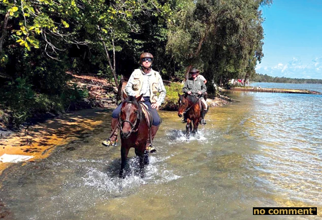 no comment - Decouvertes