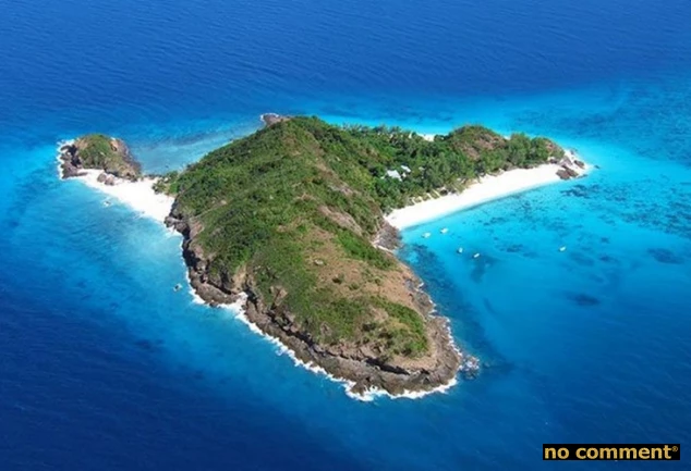 no comment - Culture