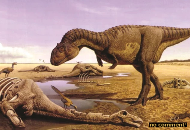 no comment - Bassin de Mahajanga : Le Jurassique Park