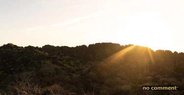 no comment