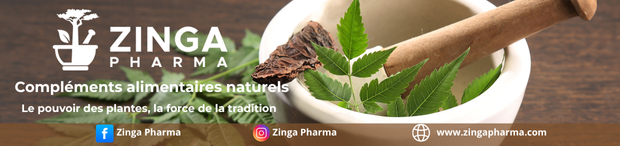 no comment - ZINGA PHARMA 250805