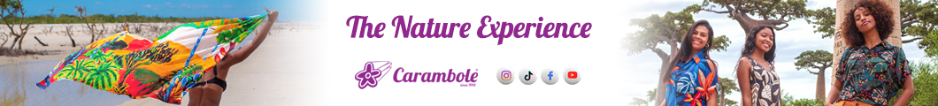 no comment - CARAMBOLE 250602