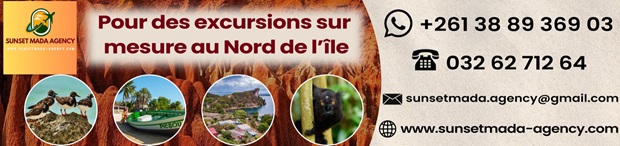 no comment - SUNSET MADA AGENCY