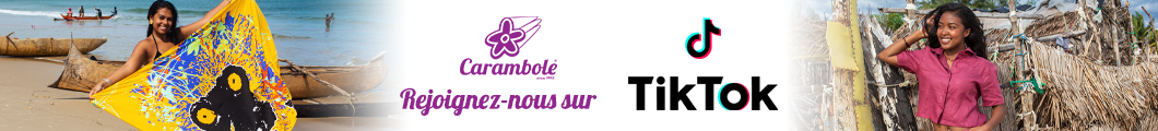 no comment - CARAMBOLE 250801